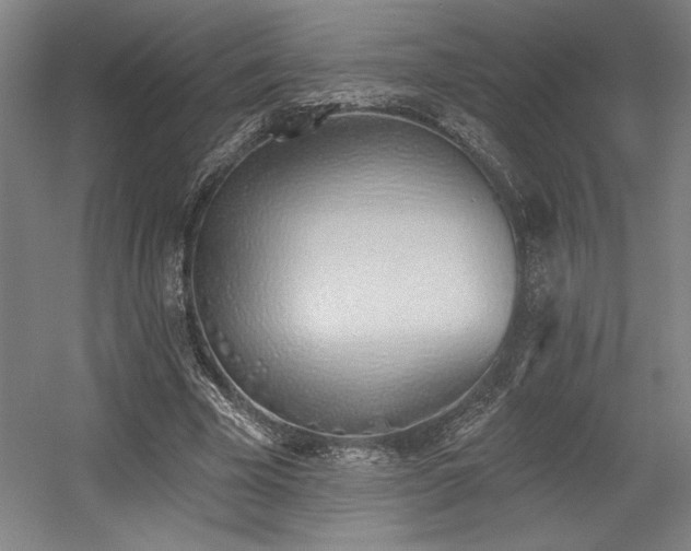 X0000056010585200508191303