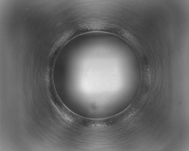 X0000056010586200508191303