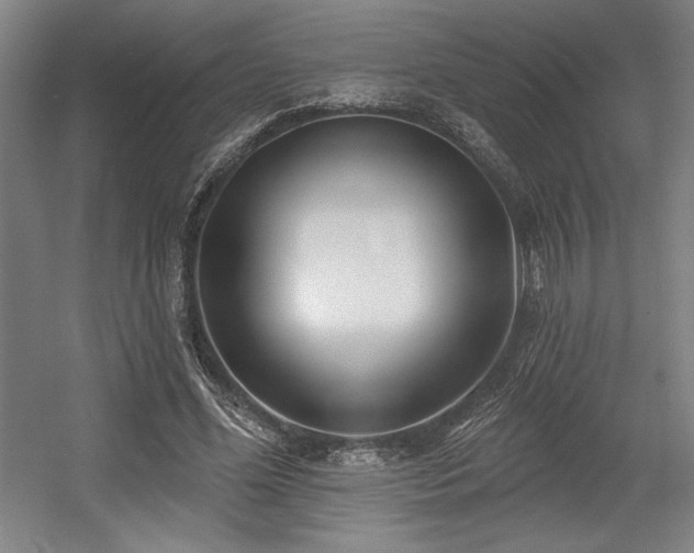 X0000056010588200508191303