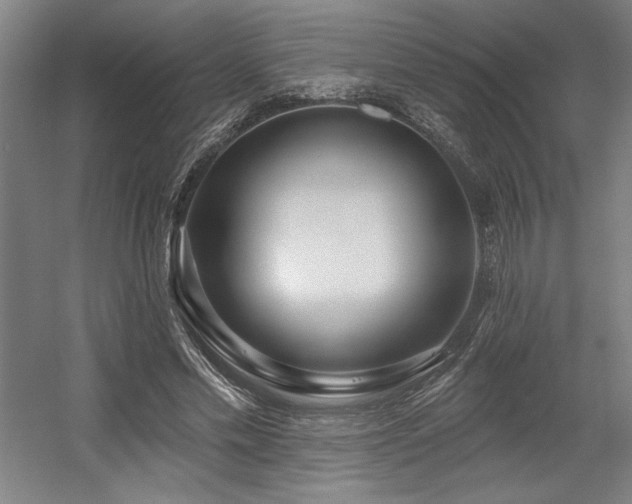X0000056010589200508191303