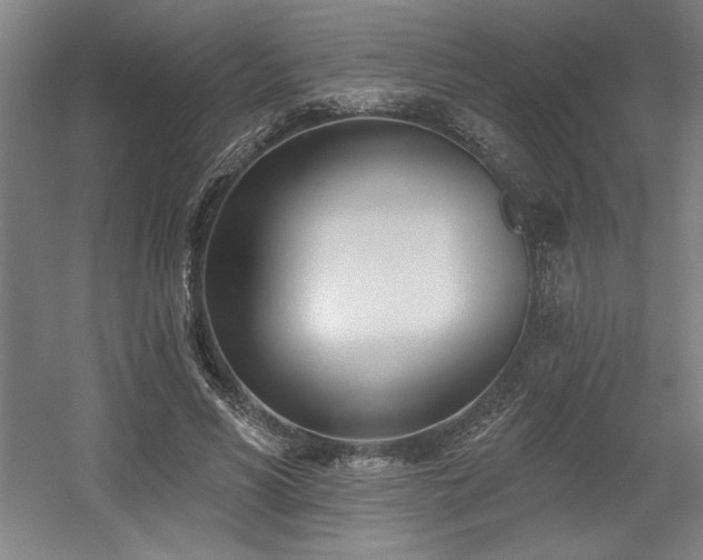 X0000056010590200508191303