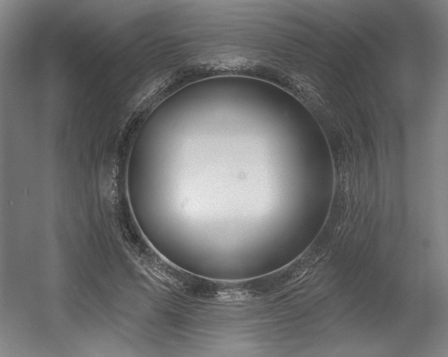 X0000056010591200508191303