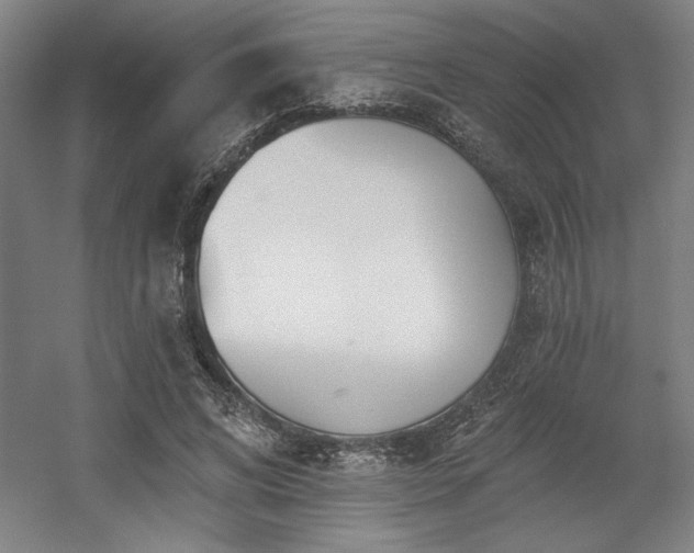 X0000056010592200508191303