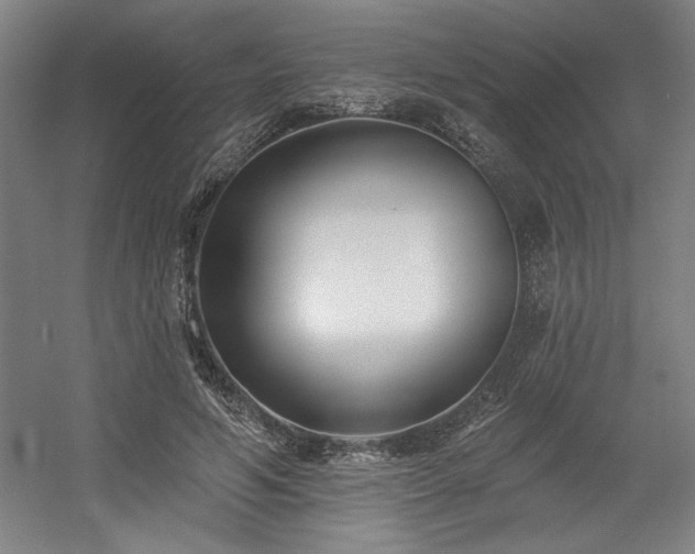 X0000056010594200508191303
