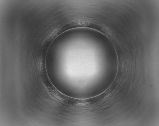 X0000056010595200508191303