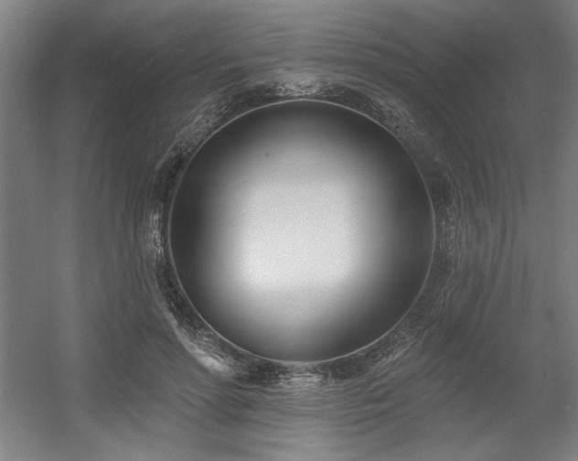 X0000056010598200508191303