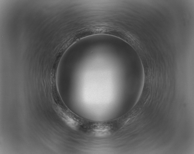 X0000056010601200508191303