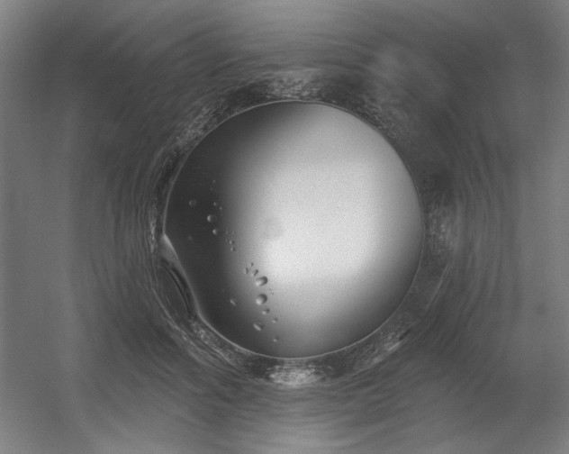 X0000056010602200508191303