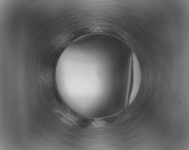 X0000056010603200508191303