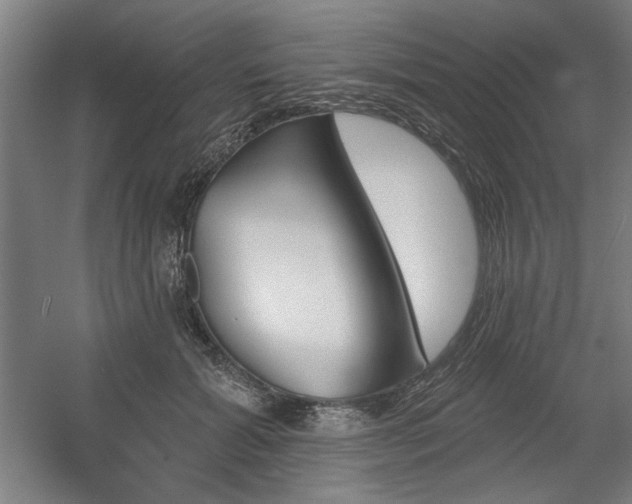 X0000056010605200508191303