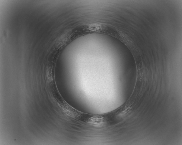 X0000056010606200508191303