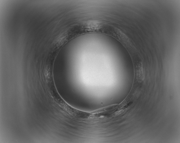 X0000056010608200508191303