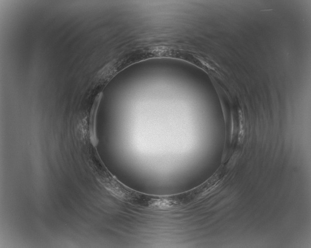 X0000056010611200508191303