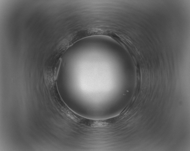X0000056010617200508191303