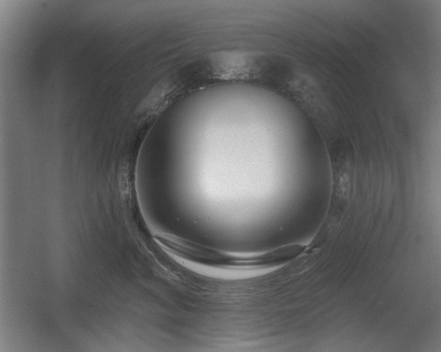 X0000056010620200508191303