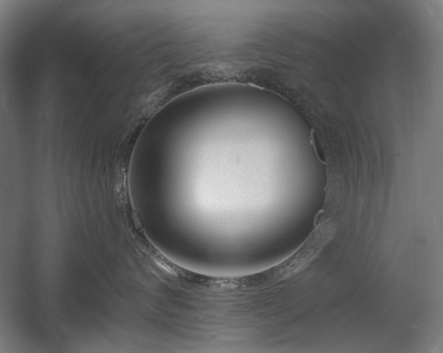 X0000056010624200508191303