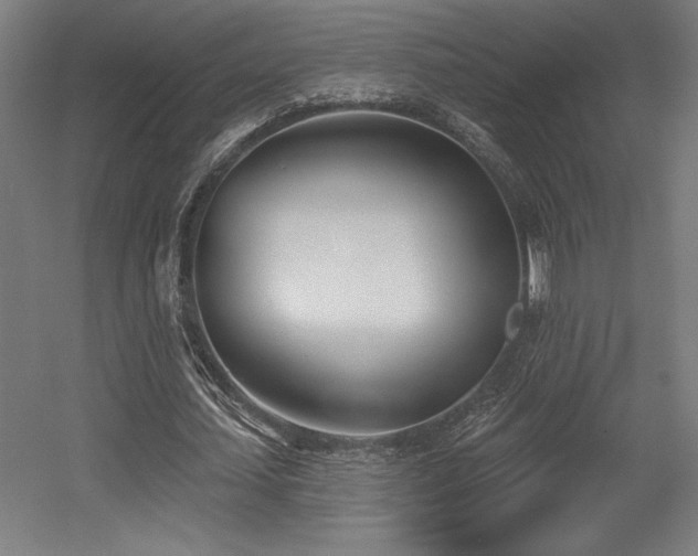 X0000056010627200508191302