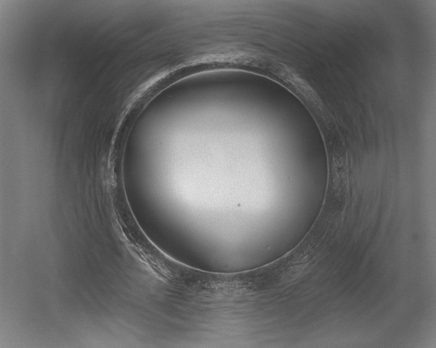 X0000056010628200508191302