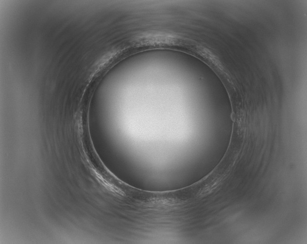 X0000056010629200508191302