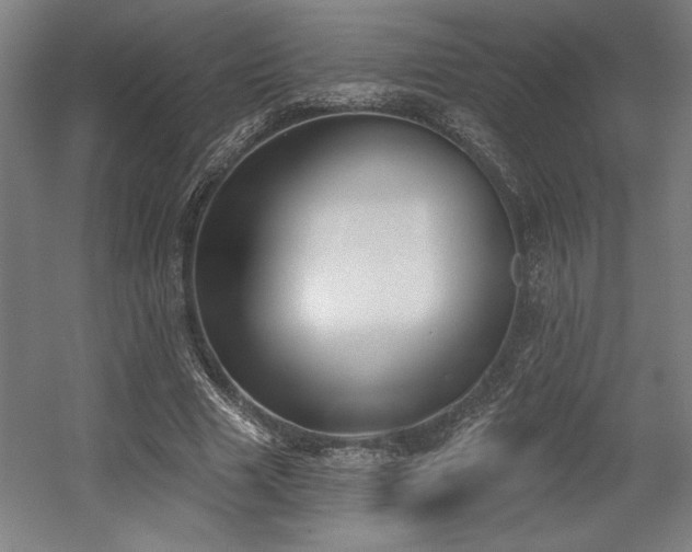 X0000056010633200508191302
