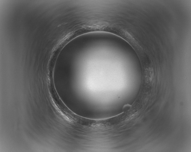 X0000056010634200508191302
