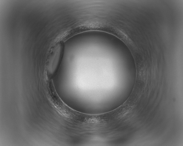 X0000056010635200508191302