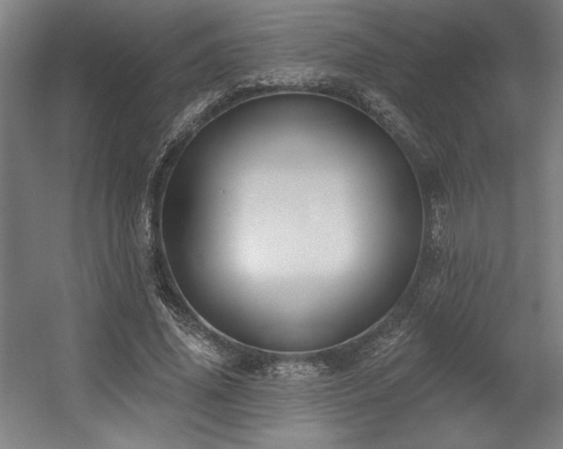 X0000056010636200508191302