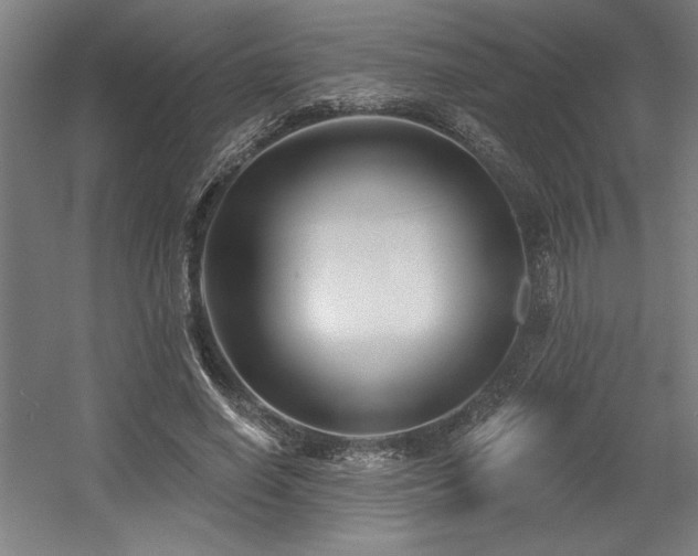 X0000056010638200508191302
