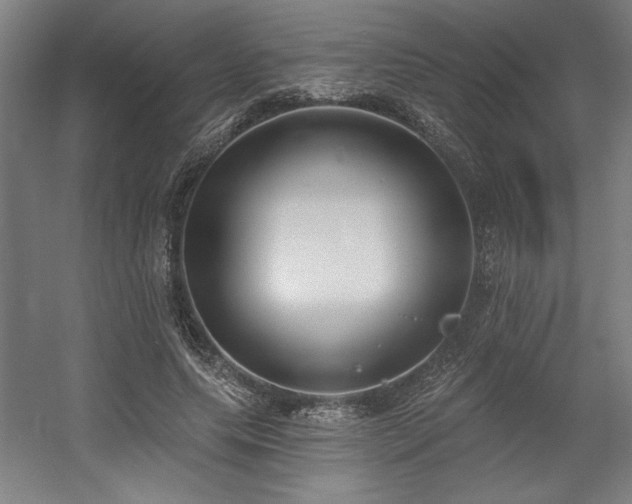 X0000056010639200508191302