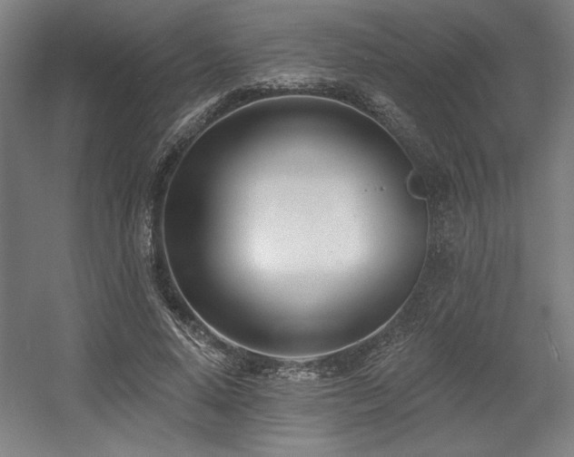 X0000056010640200508191302