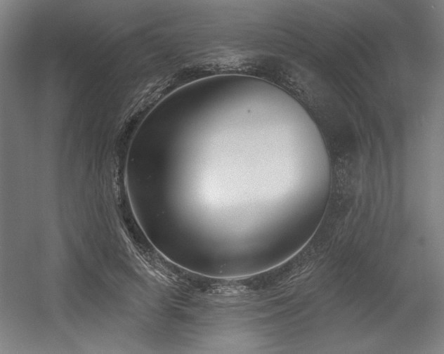 X0000056010642200508191302