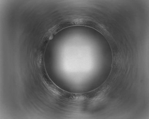 X0000056010645200508191302