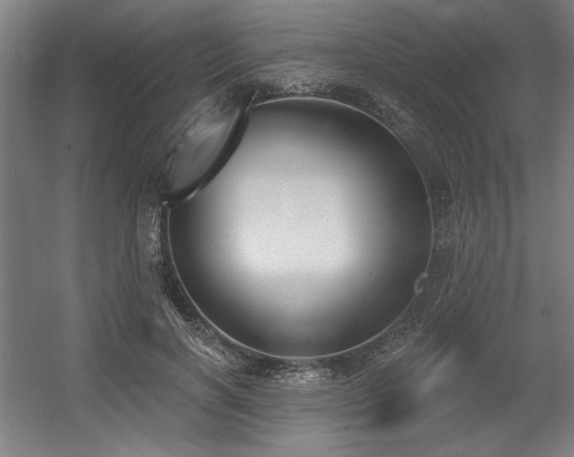 X0000056010646200508191302