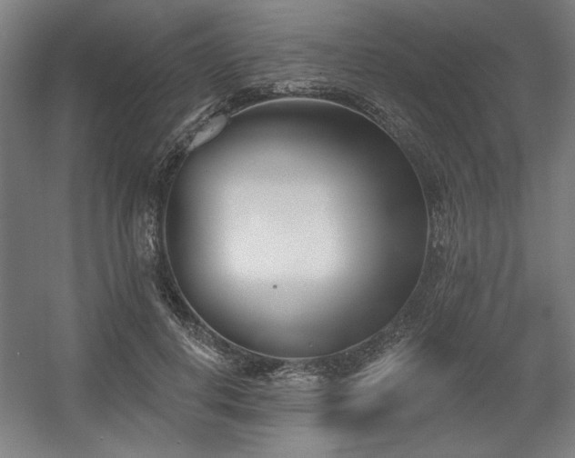 X0000056010648200508191302