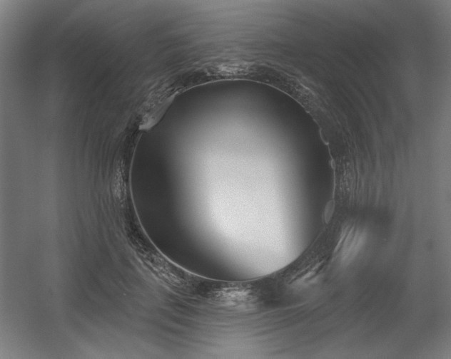 X0000056010651200508191302