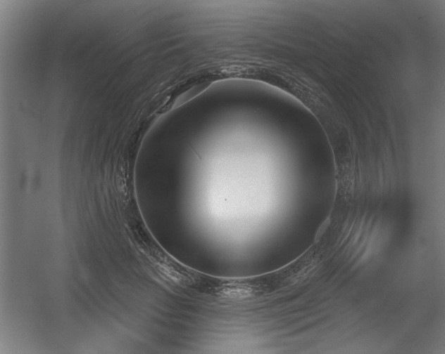 X0000056010653200508191302