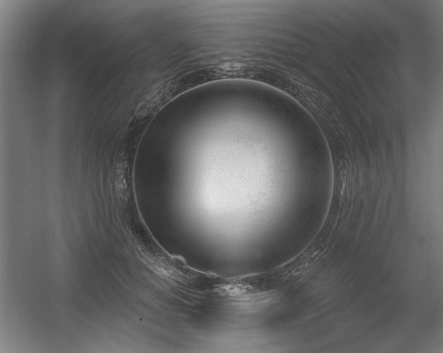 X0000056010654200508191302