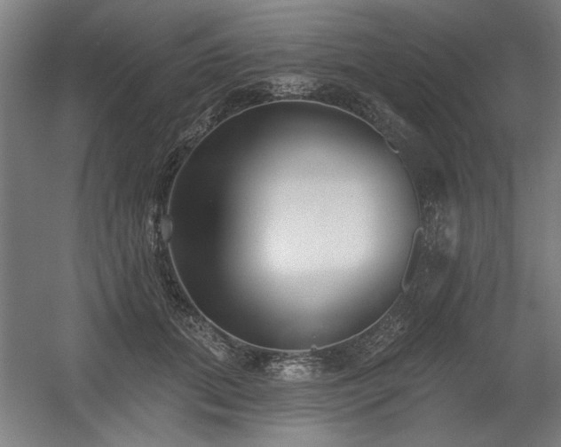 X0000056010655200508191302