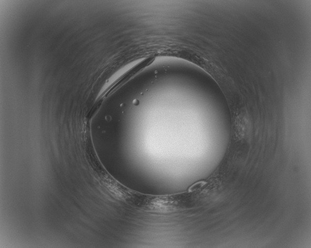 X0000056010657200508191302