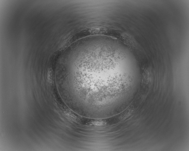 X0000056010659200508191302