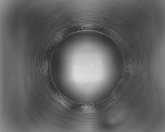 X0000056010660200508191302