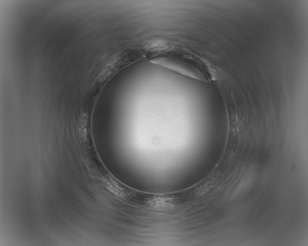 X0000056010664200508191303