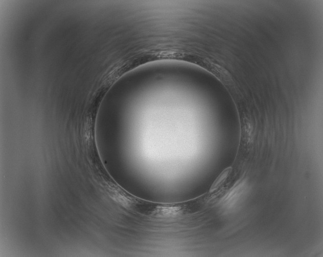 X0000056010665200508191303