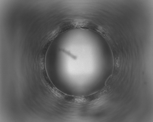 X0000056010666200508191303