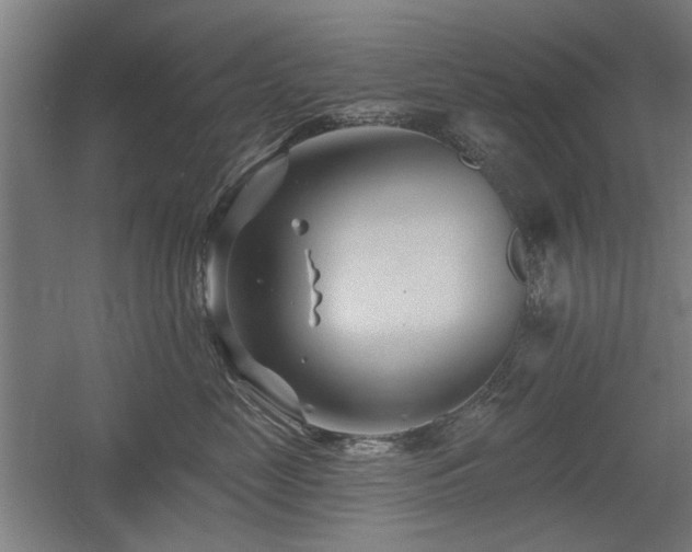 X0000056010669200508191303