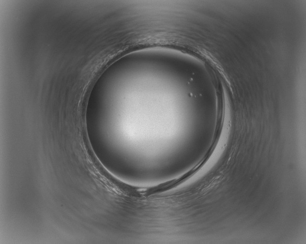 X0000056010673200508191302