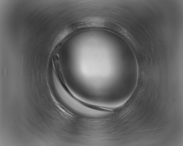 X0000056010677200508191302