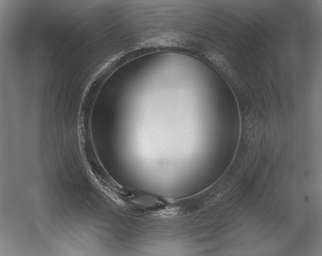 X0000056010680200508191302