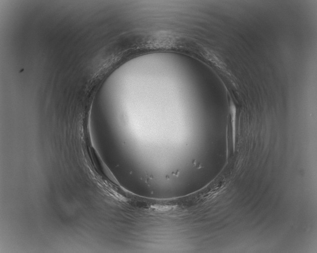 X0000056010681200508191302