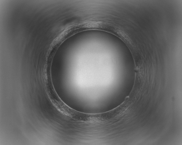 X0000056010682200508191302